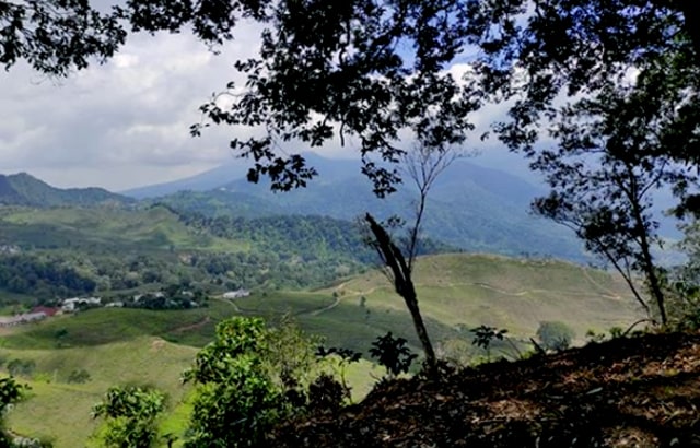 Camping Keluarga Di Teras Jingga (320994)