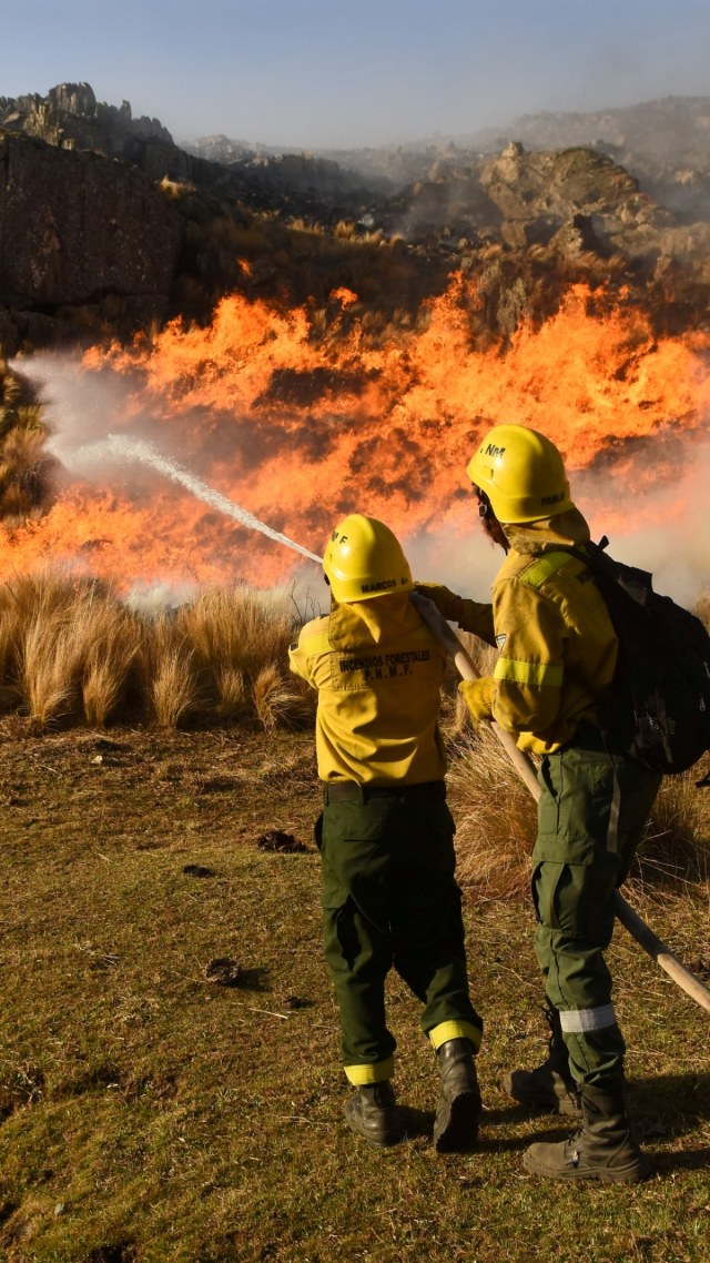 Petugas berusaha memadamkan kebakaran di La Candelaria, di provinsi Cordoba, Argentina, Rabu (30/9). Foto: Charly Soto/REUTERS
