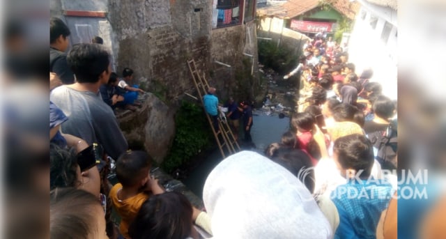 Kemunculan 2 Ular Sanca Kagetkan Warga Kota Sukabumi, di Baros dan Citamiang (82794)