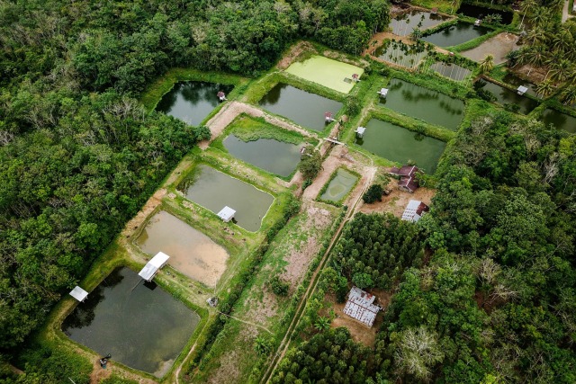 Riau Merdeka Utopia Bumi Lancang Kuning Kumparan Com Riau Merdeka Utopia Bumi Lancang Kuning Kumparan Com
