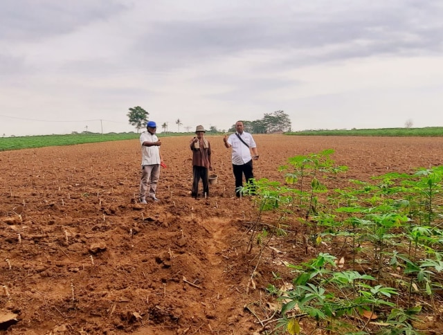 Dorong Ketersediaan Pangan dan Kemandirian Petani, FKDB Kerjasama dengan Petani (1)