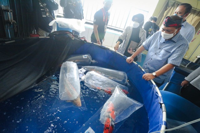 Pemkot Bandung Gandeng Pehobi Ikan Hias Dongkrak Sektor Ekonomi