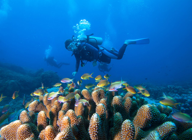  Potensi  Archipelago dan Marine Tourism untuk Pariwisata  