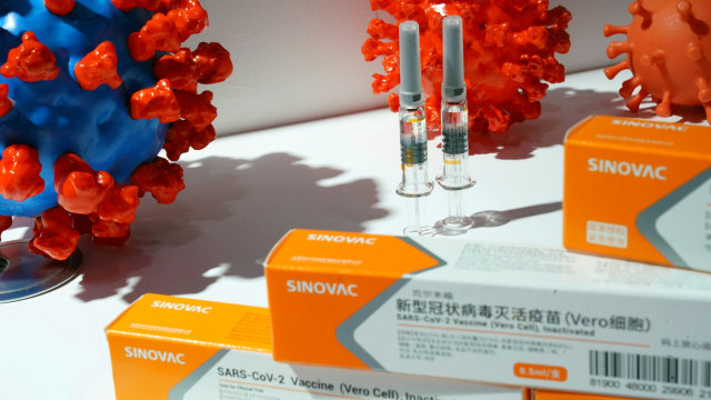 Ilustrasi vaksin corona dari Sinovac. Foto: Tingshu Wang/REUTERS