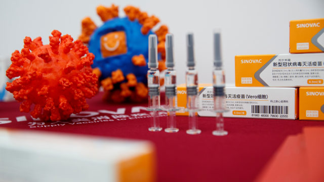 Ilustrasi vaksin corona dari Sinovac. Foto: Thomas Peter/REUTERS