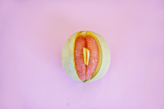 Ilustrasi vagina. Foto: Pexels