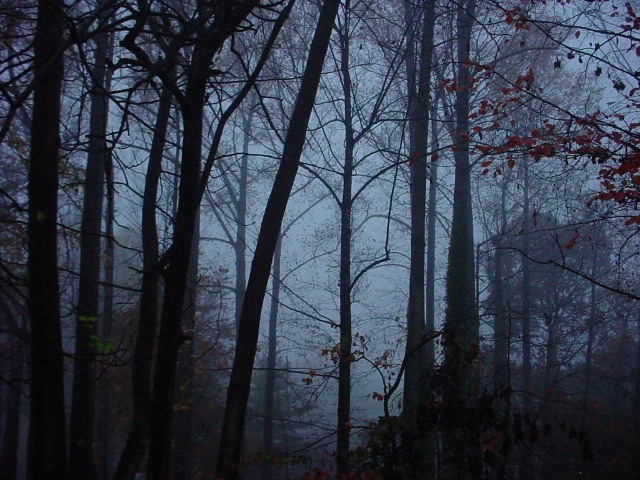 Ilustrasi Teror Lelembut Gunung Karang, Sososk Hantu di Dalam Tenda. Foto: Freeimages.