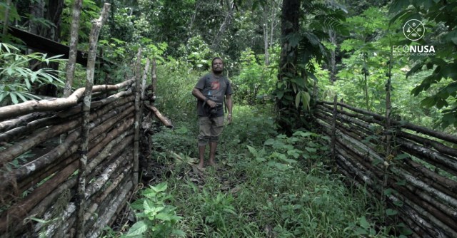 Sumber Penghidupan Baru di Hutan Saporkren (9058)