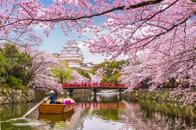 Ilustrasi Jepang Foto: Shutter stock