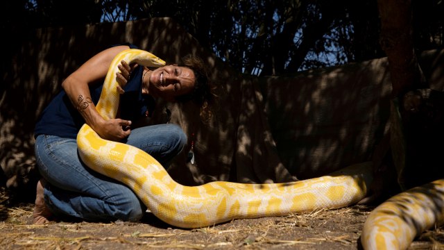 Foto: Inbar Regev, Bocah Israel yang Bermain dengan Ular Piton Peliharaannya (31231)