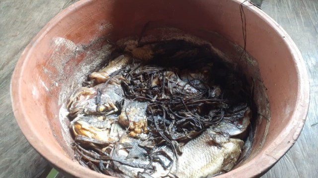 Ikan Mujair presto resep leluhur dari Danau Sentani, Papua. (Dok Hari Suroto) 