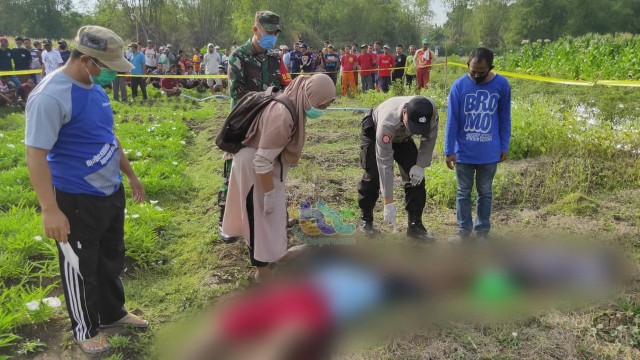 4 Orang di Bojonegoro, Meninggal Akibat Tersengat Listrik Jebakan Tikus di Sawah (34034)