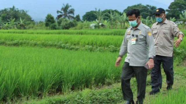 Menteri Pertanian RI Syahrul Yasin Limpo (kiri) saat melakukan kunjungan ke Sukabumi, Jawa Barat. Foto: Kementan RI