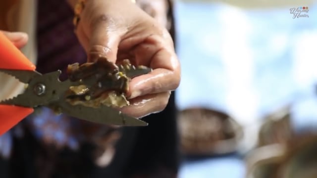 Wow! Video Viral di YouTube Ini Tunjukan Cara Menyiangi Kepiting Tapal Kuda (70498)