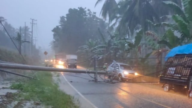 Tiang listrik tumbang di ruas Jalan Trans Sulawesi Mamuju-Palu di Dusun Toppo, Mamuju, Sulawesi Barat. Foto: Dok. Istimewa