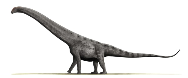 Ini 3 Dinosaurus Terbesar yang Pernah Kuasai Planet Bumi (1)