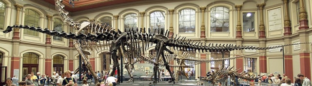 Ini 3 Dinosaurus Terbesar yang Pernah Kuasai Planet Bumi (4)