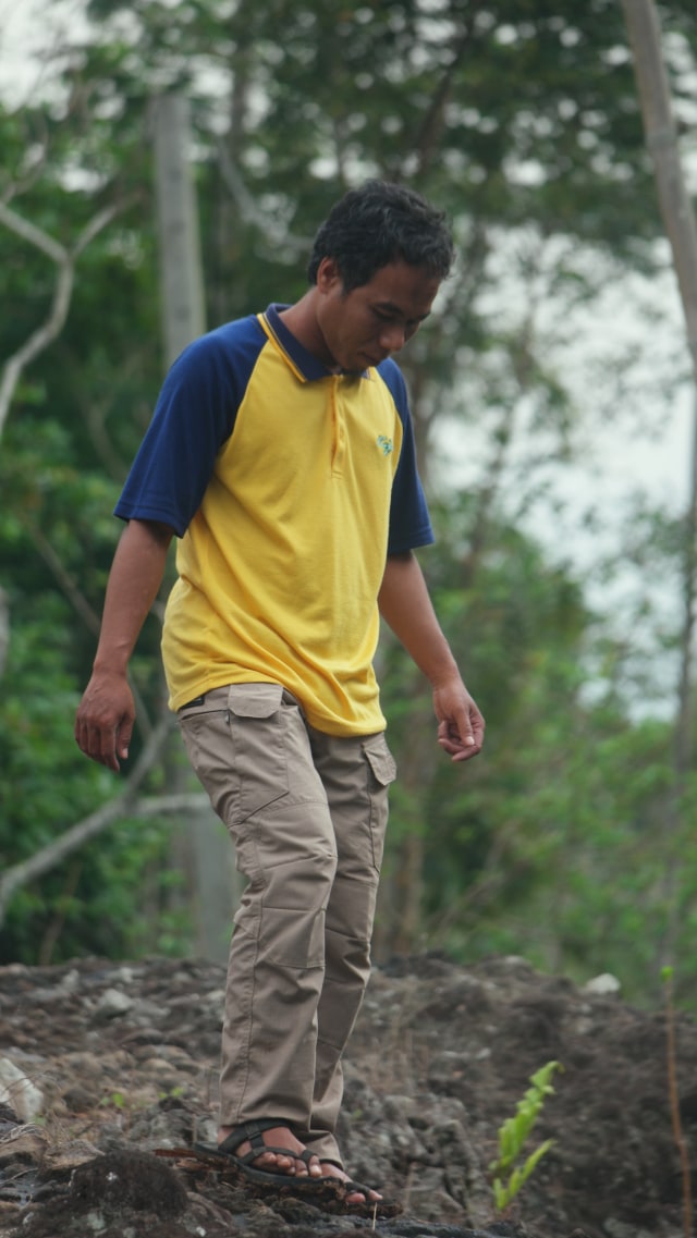 Budi Daya Anggrek Asli Gunung Api Purba Nglanggeran sebagai Oleh-oleh Khas (14828)