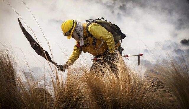 Aksi Petugas Damkar Padamkan Api Kebakaran Hutan di Cordoba. Foto: AP Photo/Mario Tizon