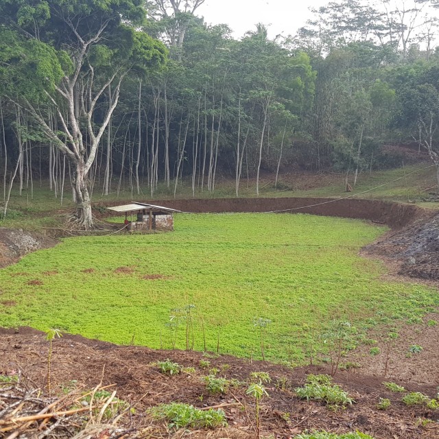 Mencari Jejak Kuda Sembrani Tunggangan Bidadari di Gunung Api Purba, Nglanggeran (77404)