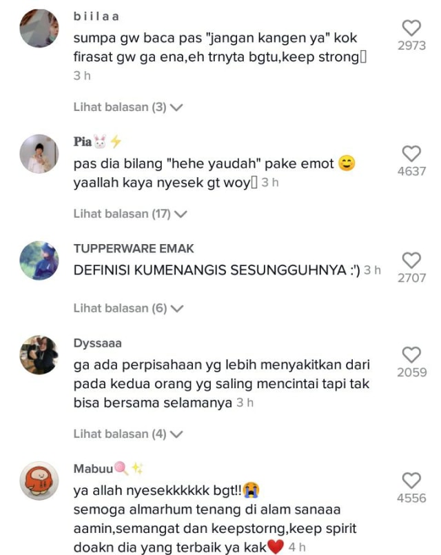 Viral Percakapan Terakhir Wanita Sebelum Kekasihnya Meninggal, Bikin Sedih (11747)