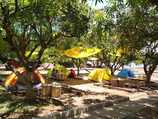 Sensasi Nyeruput Kopi Gincu di Tengah-tengah Kebun Mangga, Yuk Coba (77337)
