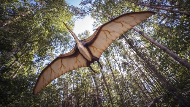 Benarkah Dinosaurus Hidup di Benua Antartika? (11323)