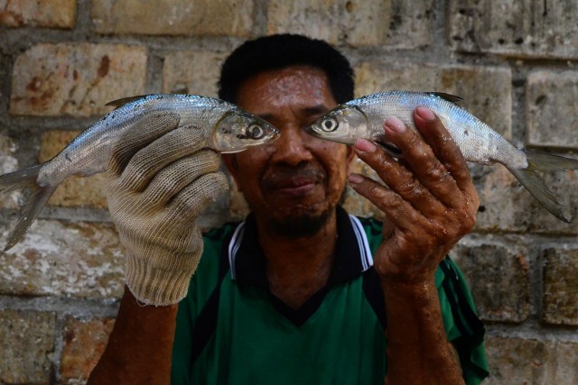 Foto: Geliat Sentra Pengolahan Bandeng Presto Juwana di Pati Jawa Tengah (16735)