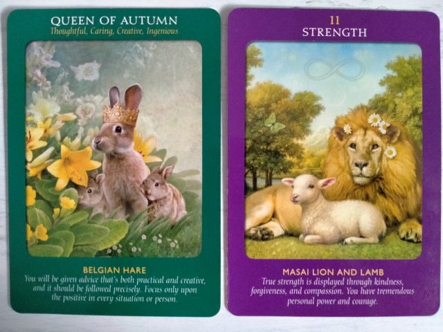 Kabar Baik dan Buruk untuk Setiap Zodiak di Minggu Ini (100188)