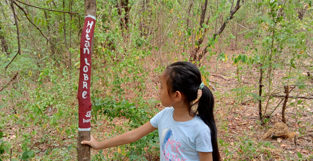Alas (hutan) Lobre di Surabaya yang tak banyak diketahui orang keberadaannya. Foto-foto: Masruroh/Basra