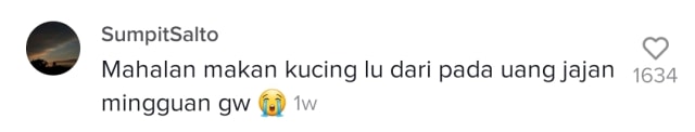 Viral Kucing Sultan, Dapat Makan Daging Sirloin Tiap Hari (8563)