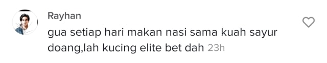 Viral Kucing Sultan, Dapat Makan Daging Sirloin Tiap Hari (8565)