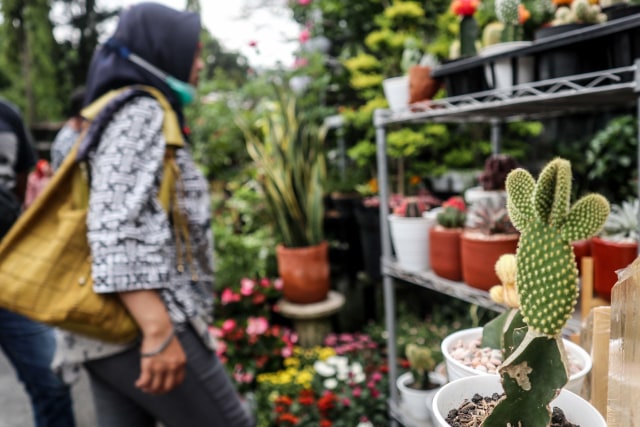 Foto: Segarnya Bisnis Bunga Hias saat Pandemi (7054)