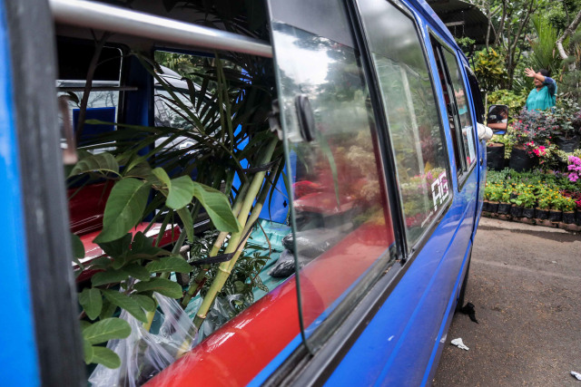Foto: Segarnya Bisnis Bunga Hias saat Pandemi (7055)