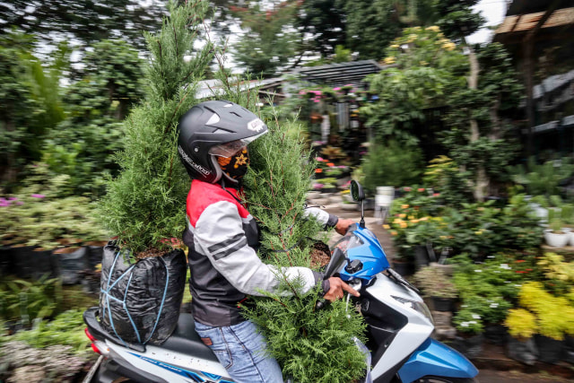 Foto: Segarnya Bisnis Bunga Hias saat Pandemi (7056)