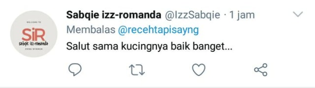 Aksi Heroik Kucing Selamatkan Bocah yang Diserang Anjing (159188)