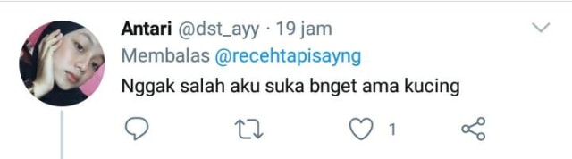 Aksi Heroik Kucing Selamatkan Bocah yang Diserang Anjing (159189)