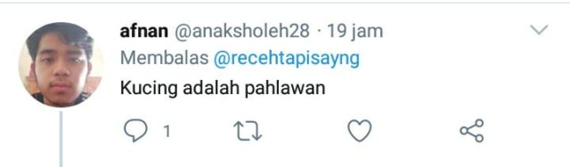 Aksi Heroik Kucing Selamatkan Bocah yang Diserang Anjing (159190)