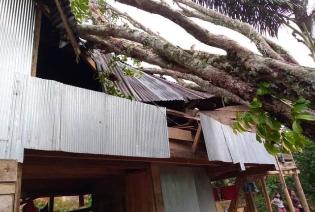 Rumah warga di Dusun Barung, Mamasa, Sulawesi Barat, rusak setelah tertimpa pohon tumbang. Foto: Dok. Istimewa