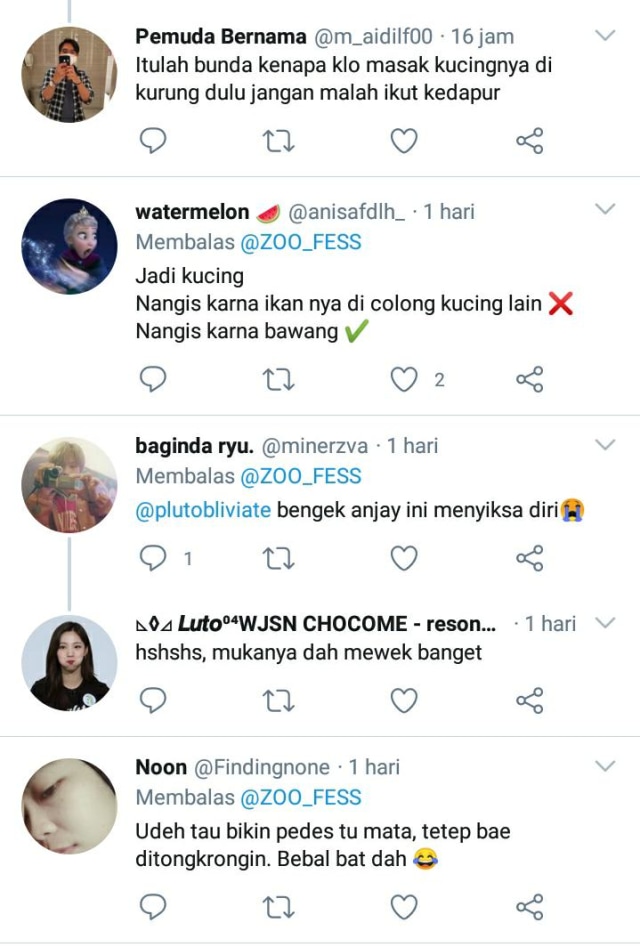 Kucing Ini Menangis saat Majikannya Mengupas Bawang, Lucu Tapi Kasihan (131137)