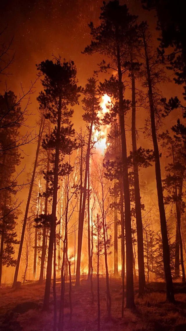 Api membakar hutan di kawasan Drake, Colorado, Amerika Serikat. Foto: Loveland Fire Rescue Authority / via REUTERS