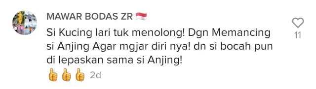Viral Video Pertarungan Kucing Lawan Anjing yang Serang Bocah (521192)