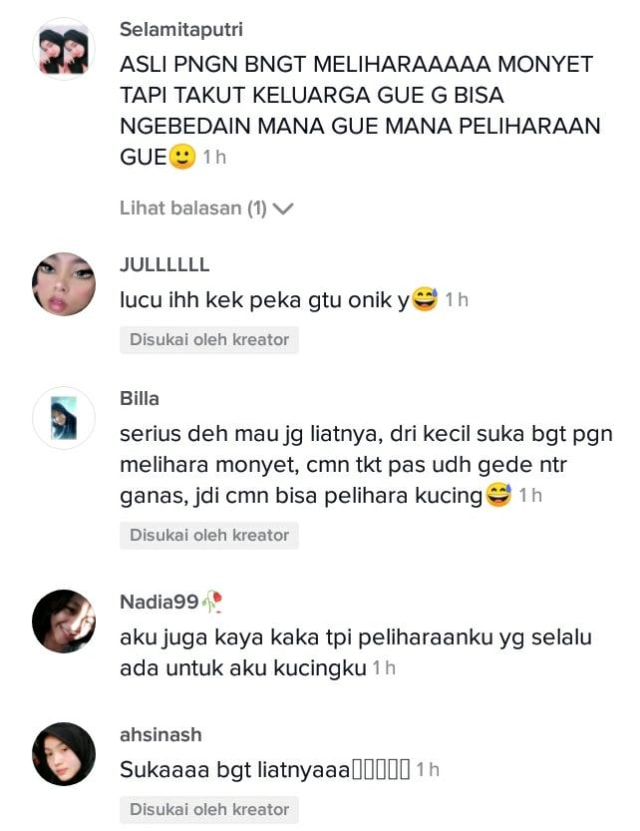 Monyet Ini Hapus Air Mata Pemiliknya Ketika Menangis (511145)