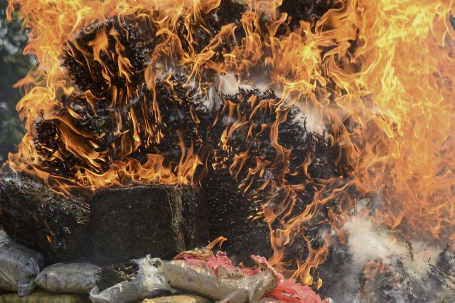 Barang bukti narkotika jenis ganja dimusnahkan dengan cara dibakar di Polda Aceh. Foto: Ampelsa/ANTARA FOTO