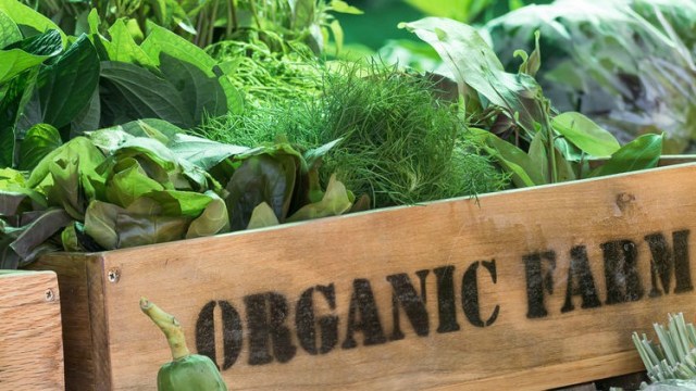 Ingin Beralih ke Sayuran Organik? Ketahui Dulu Fakta Berikut!