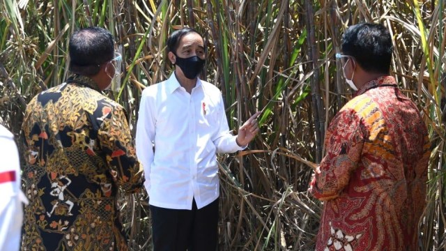 Presiden Joko Widodo saat meresmikan Pabrik Gula di Bombana, Sulawesi Tenggara. Foto: Lukas/Biro Pers Sekretariat Presiden