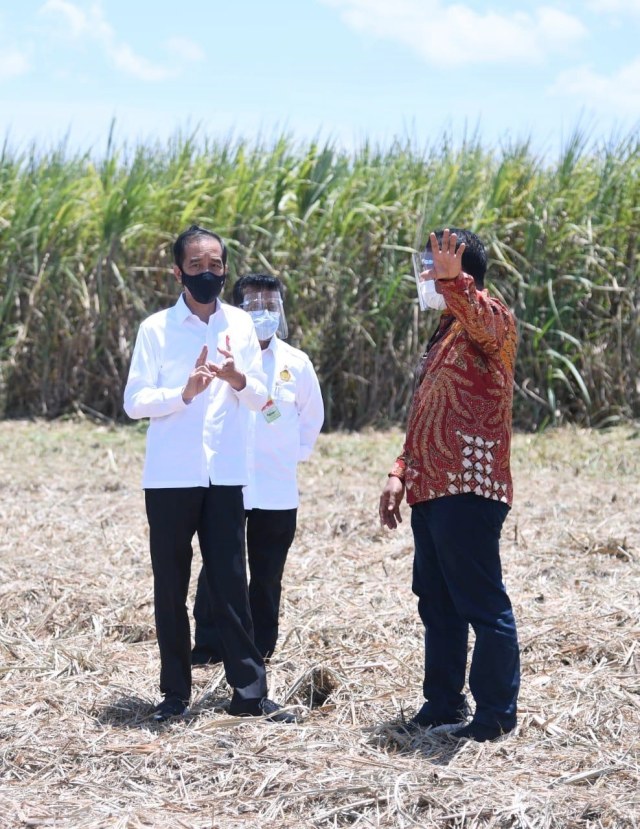 Presiden Joko Widodo saat meresmikan Pabrik Gula di Bombana, Sulawesi Tenggara. Foto: Lukas/Biro Pers Sekretariat Presiden