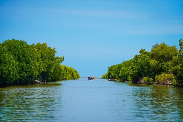 Menparekraf Siapkan Spot untuk Konten TikTok dan Instagram di Ekowisata Mangrove (446677)