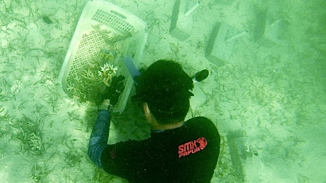 Komunitas Motor SMX Papua di Serui yang peduli terhadap lingkungan bawah laut. (Dok SMX Motor Papua)