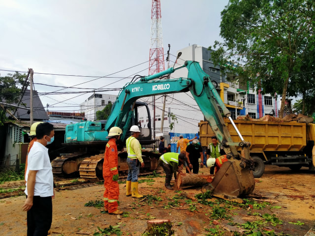 Wali Kota Pontianak, Edi Rusdi Kamtono, meninjau ke lokasi pohon tumbang di Jalan Merdeka. Foto: Lydia Salsabilla/Hi!Pontianak